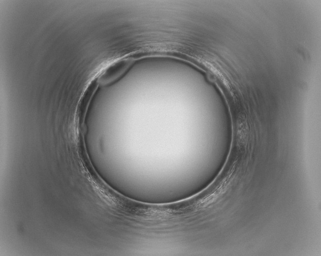 X0000115540981200911201736