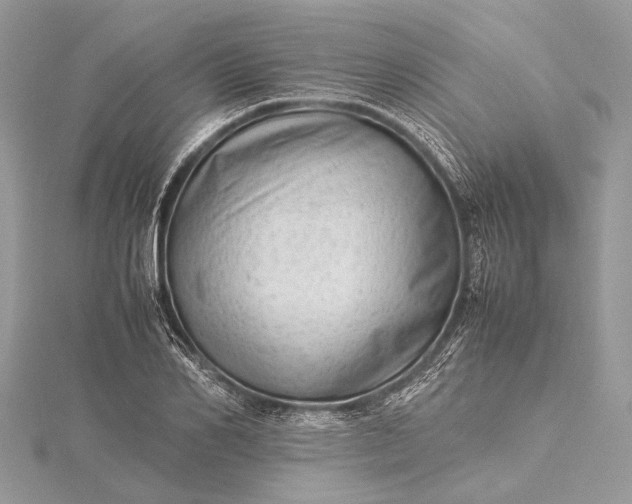 X0000115540982200911201736