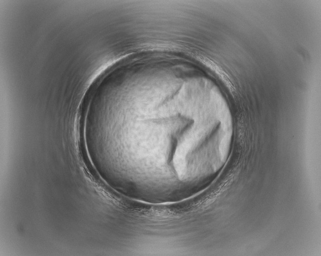 X0000115540983200911201736