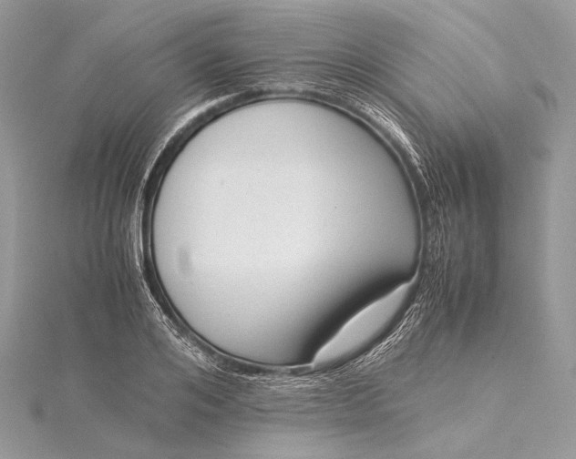 X0000115540984200911201736