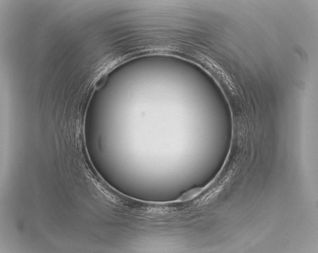 X0000115540985200911201736