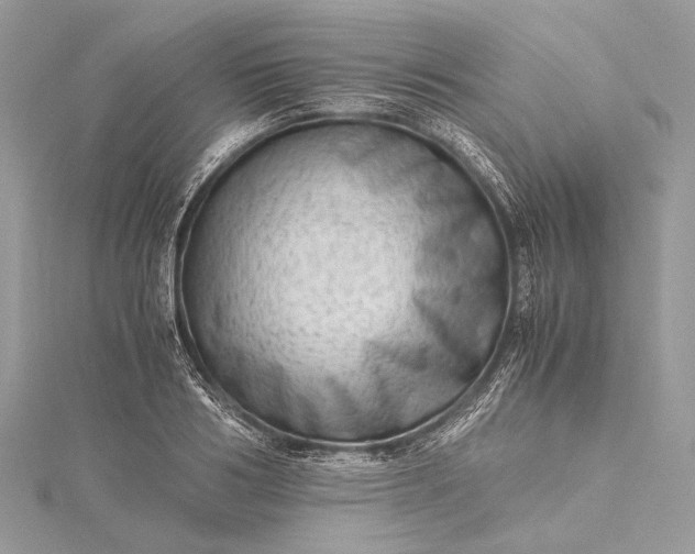 X0000115540986200911201736