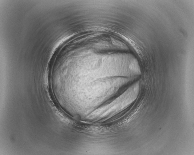 X0000115540987200911201736