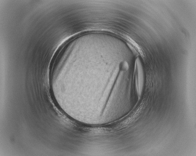 X0000115540988200911201736