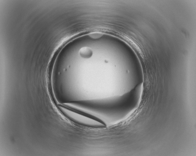 X0000115540989200911201736