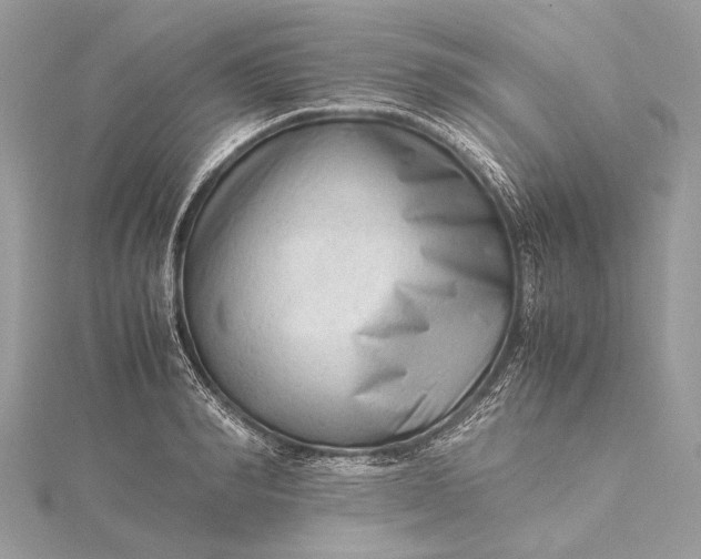 X0000115540990200911201736