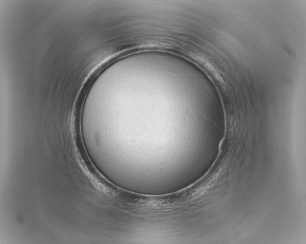 X0000115540991200911201736