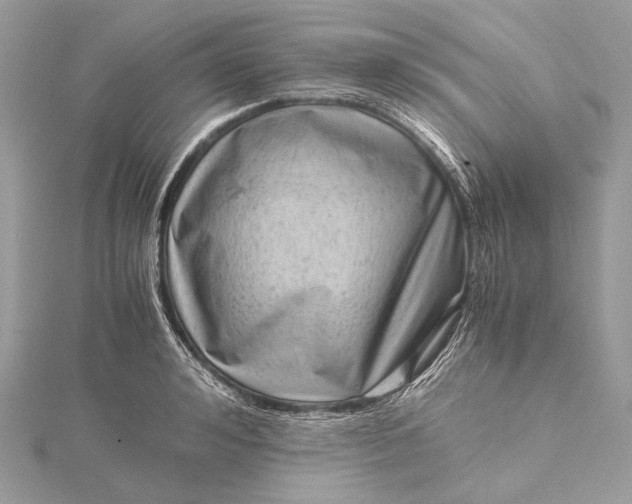 X0000115540992200911201736