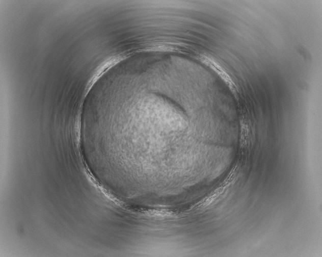 X0000115540994200911201736