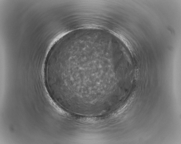 X0000115540995200911201736