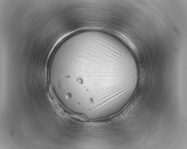 X0000115540996200911201736