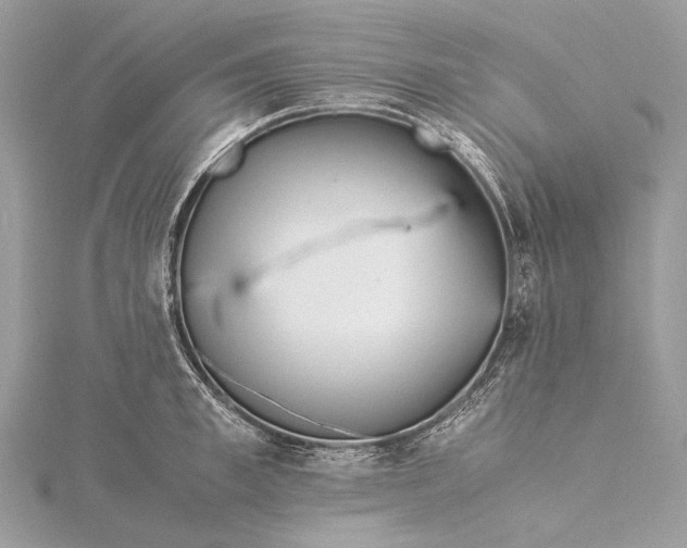 X0000115540997200911201736