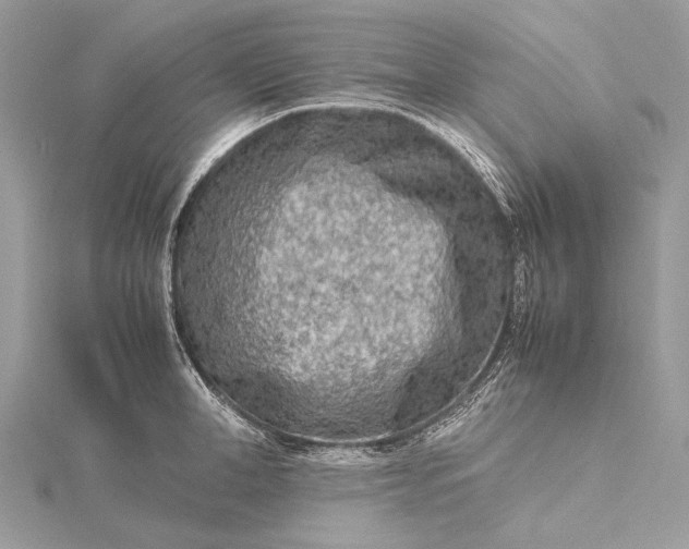 X0000115540998200911201736