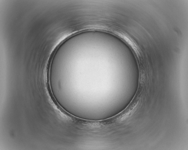 X0000115540999200911201736