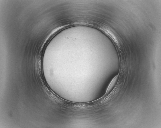 X0000115541000200911201736