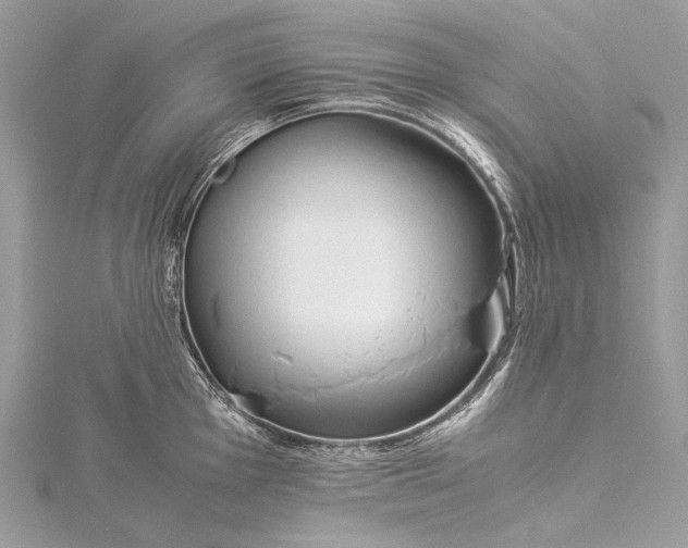 X0000115541001200911201736