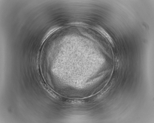 X0000115541002200911201736