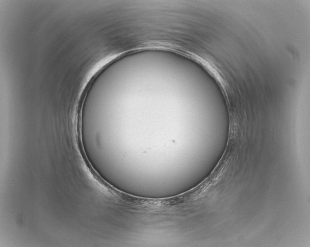 X0000115541003200911201736