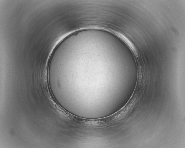 X0000115541004200911201736