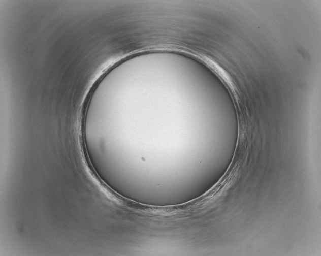 X0000115541005200911201736