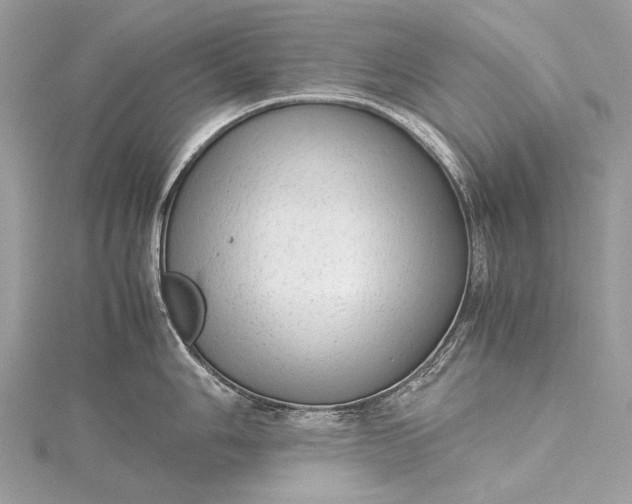 X0000115541006200911201736