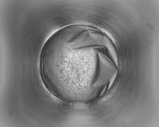 X0000115541007200911201736