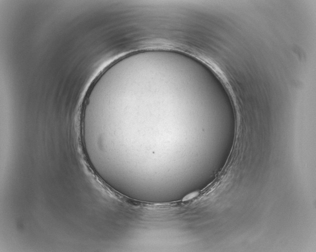 X0000115541008200911201736