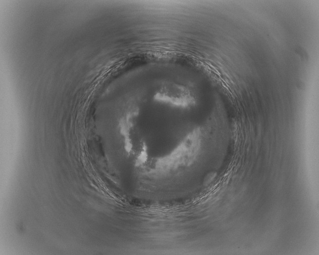 X0000115541009200911201735