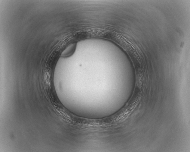 X0000115541010200911201735