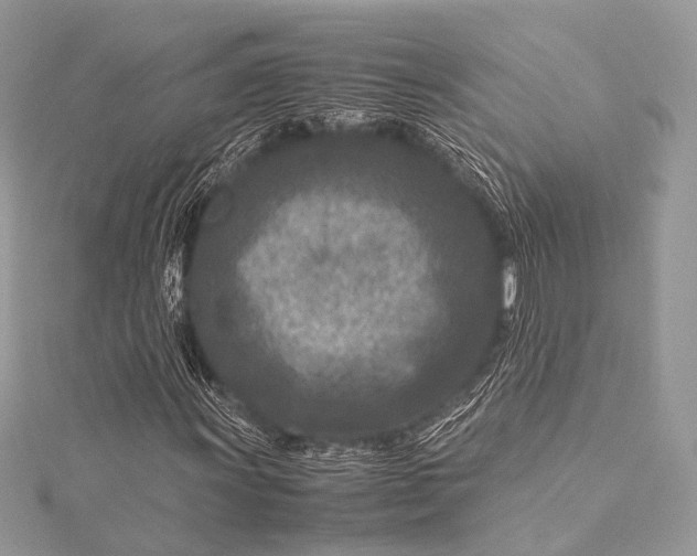 X0000115541011200911201735