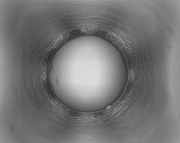 X0000115541012200911201735