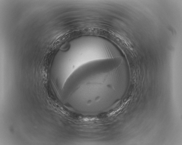 X0000115541013200911201735