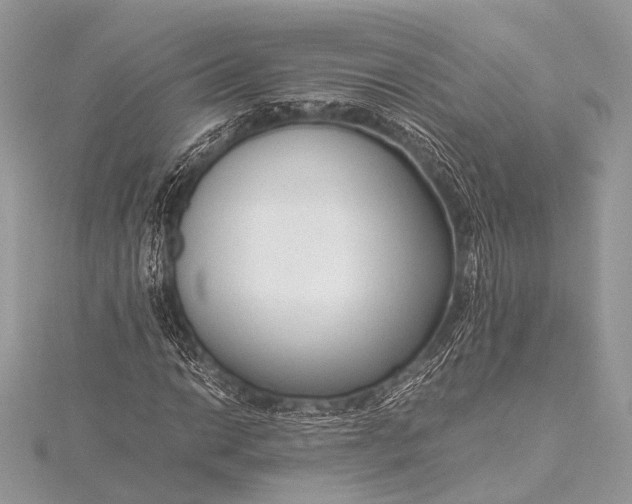 X0000115541014200911201735