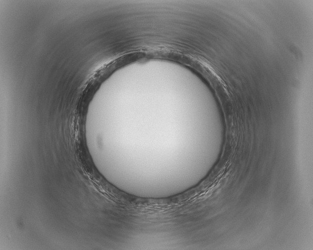 X0000115541016200911201735