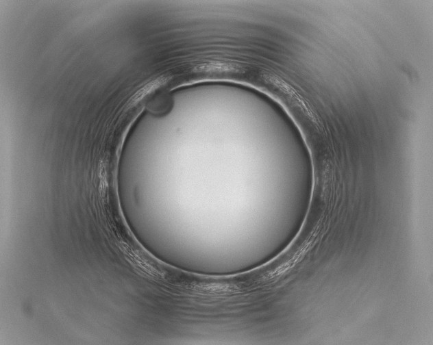 X0000115541017200911201735