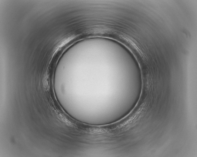 X0000115541018200911201735