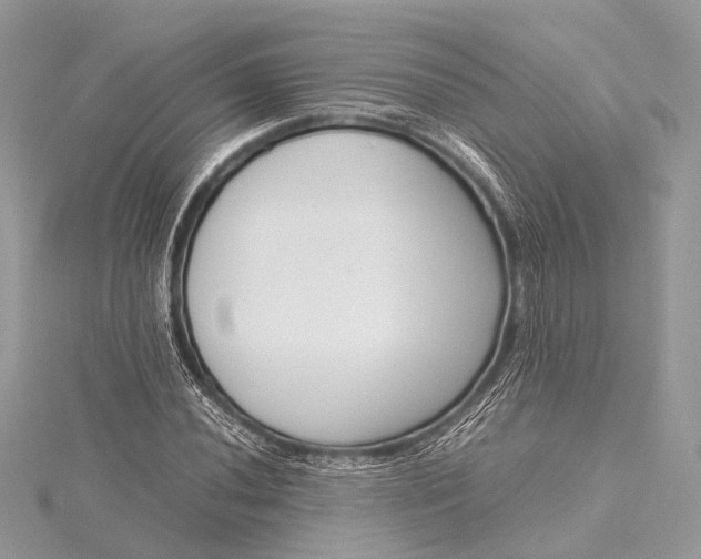 X0000115541020200911201735