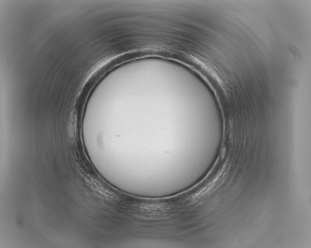 X0000115541021200911201735