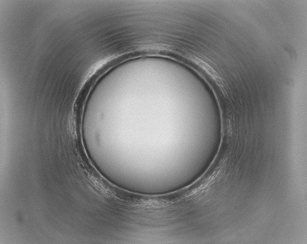 X0000115541022200911201735