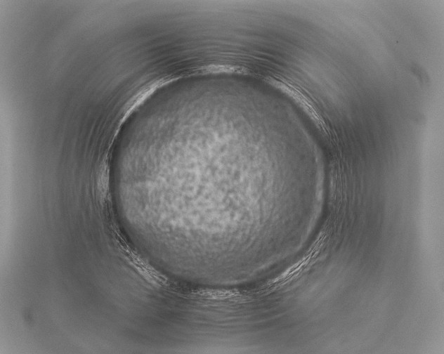 X0000115541023200911201735