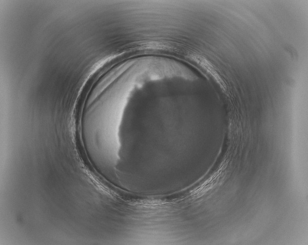 X0000115541024200911201735