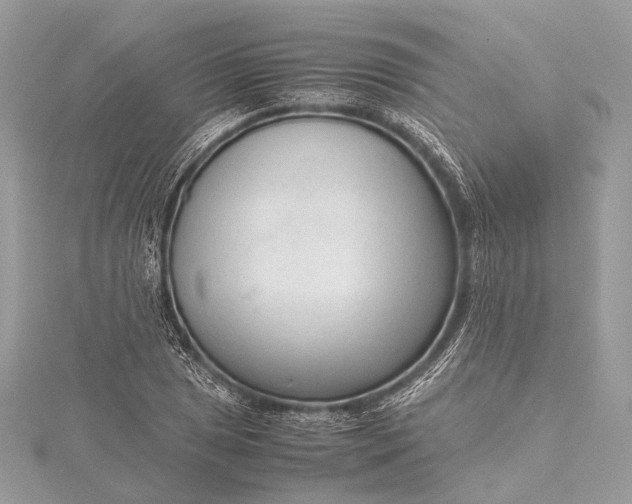 X0000115541025200911201735