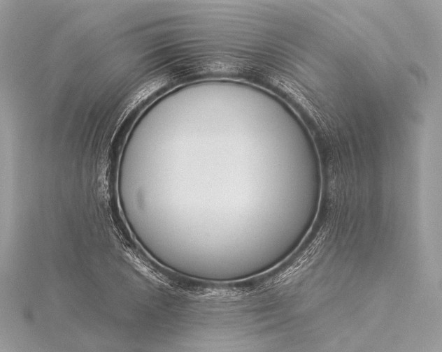 X0000115541026200911201735