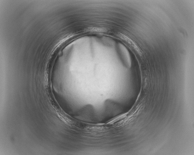 X0000115541027200911201735