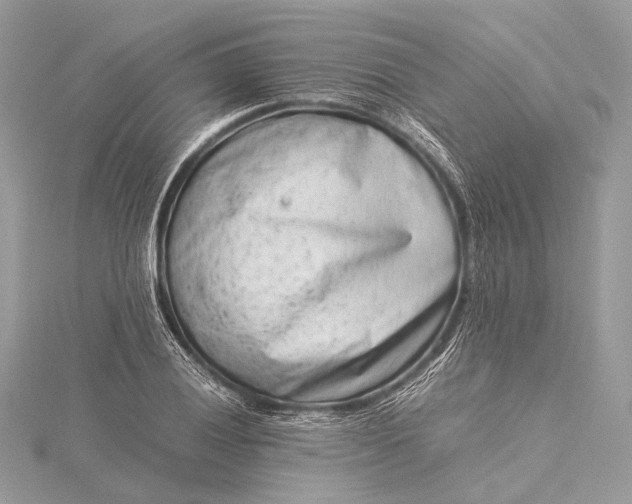 X0000115541028200911201735