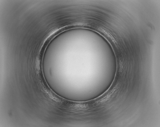 X0000115541029200911201735