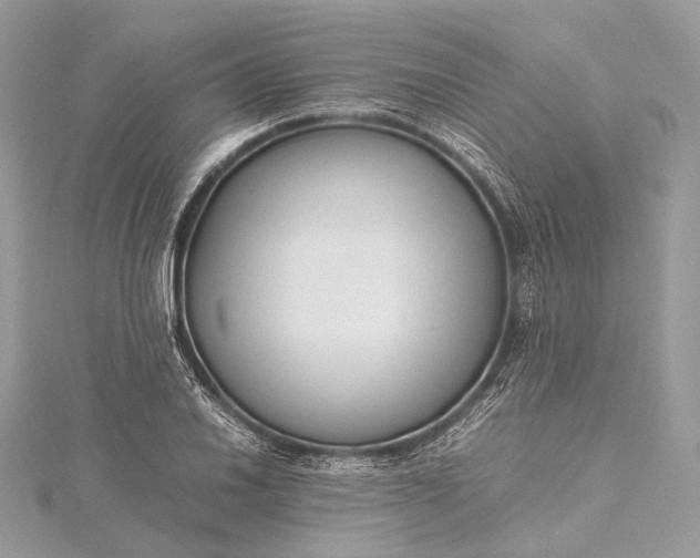 X0000115541030200911201735