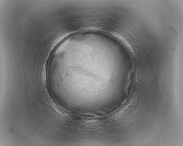 X0000115541031200911201735