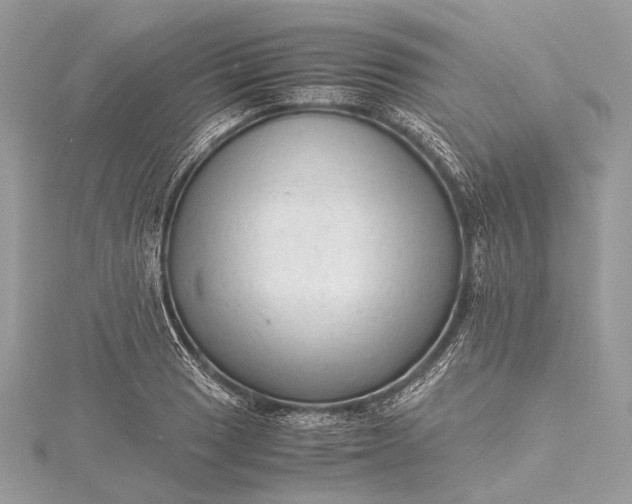 X0000115541033200911201735