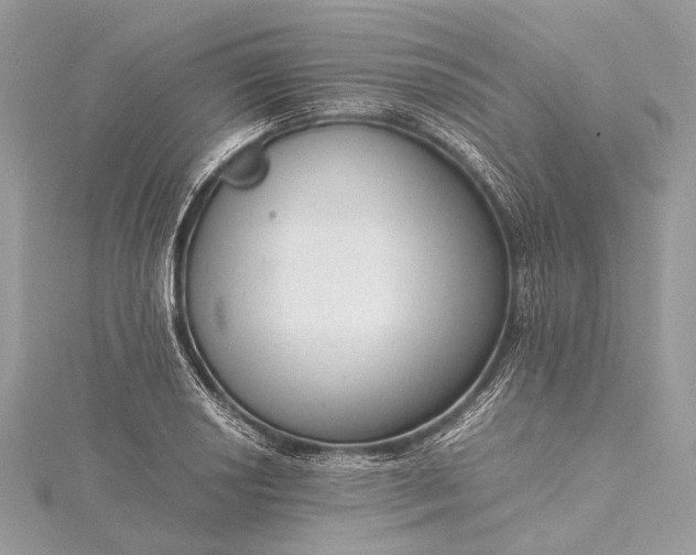 X0000115541034200911201735